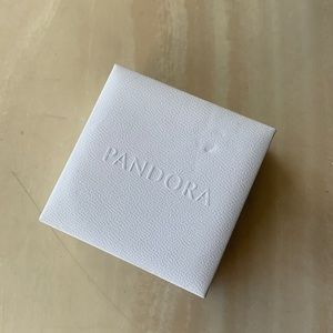 New Pandora Bracelet with charm